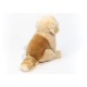 Teddy-Hermann - Golden Retriever