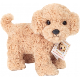 Teddy Hermann Cockapoo stehend 2