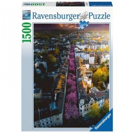 Ravensburger - Blühendes Bonn, 1