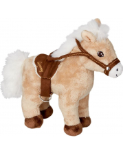 Pferd Queeny Pferdefreunde