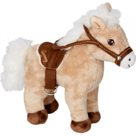 Pferd Queeny Pferdefreunde