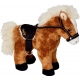Pferd Freddy Pferdefreunde