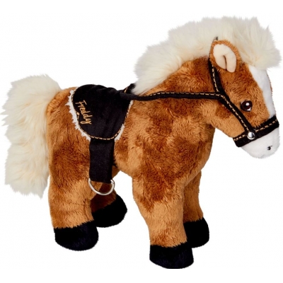 Pferd Freddy Pferdefreunde