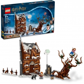 LEGO® Harry Potter 76407 - Heule