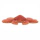 Spindleshanks Crab