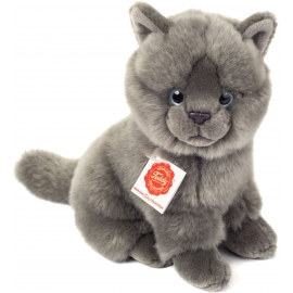 Teddy-Hermann - Kartäuser Katze