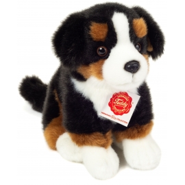 Teddy-Hermann - Berner Sennenhun