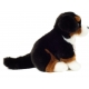 Teddy-Hermann - Berner Sennenhun