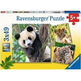 Ravensburger - Panda, Tiger und