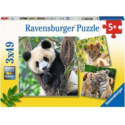 Ravensburger - Panda, Tiger und