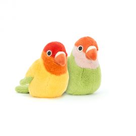 A Pair of lovley Lovebirds