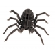 3D Papiermodell - Vogelspinne, S