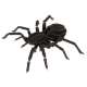3D Papiermodell - Vogelspinne, S