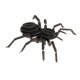3D Papiermodell - Vogelspinne, S