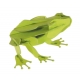3D Papiermodell - Frosch, Spezia