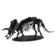 3D Papiermodell - Triceratops, S