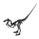 3D Papiermodell - Velociraptor,