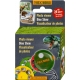 Dino Show - T-Rex World