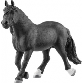 Noriker Hengst