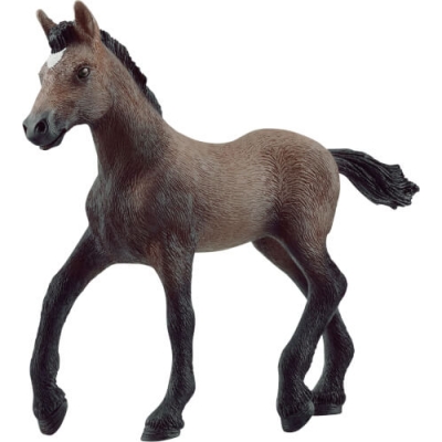 Paso Peruano Fohlen
