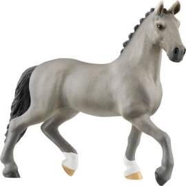 Cheval De Selle Francais Hengst