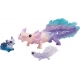 Axolotl Discovery Set