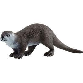 Fischotter