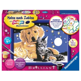 Ravensburger 28016 Malen nach Zahlen Funkelnder Sternenhimmel