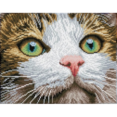 DIAMOND DOTZ Katzenschönheit 27,7x35,5 cm