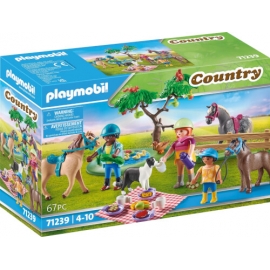 Picknickausflug Mit Pferden