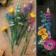 Wildblumenstrauß