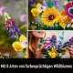 Wildblumenstrauß
