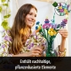 Wildblumenstrauß