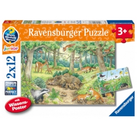 Pz. Www Tiere Im Wald 2X12T.