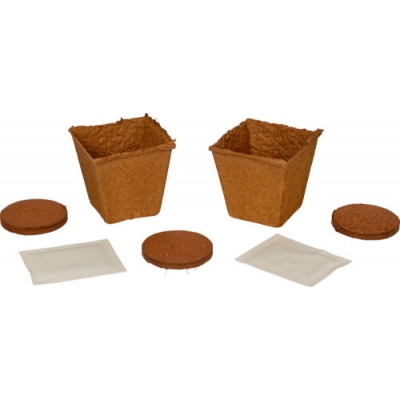 Bienen-Garten Anzucht-Set - Natu