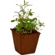 Bienen-Garten Anzucht-Set - Natu