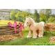Baby Born My Cute Horse