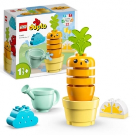 Duplo Wachsende Karotte