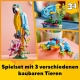 Creator Exotischer Papagei