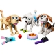 Creator Niedliche Hunde