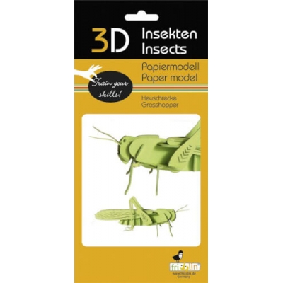 3D Papiermodell - Heuschrecke, S