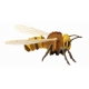 3D Papiermodell - Biene