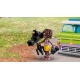 LEGO® Friends 41749 Nachrichtenw