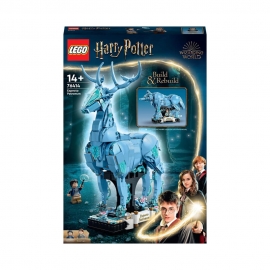 LEGO® Harry Potter™ 76414 Expect