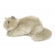 Perserkatze Liegend 24 Cm