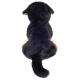 Berner Sennenhund Sitzend 26 Cm