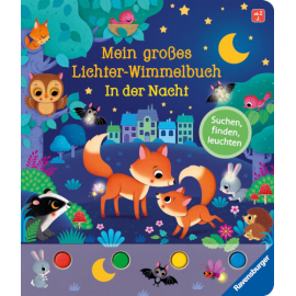 Lichter Wimmelbuch: In der Nacht