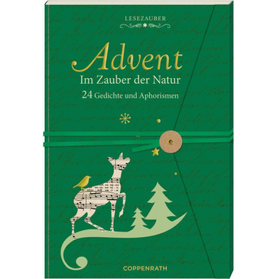 Lesezauber: Advent im Zauber der