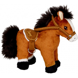 Kleines Pferd Jimmy  -  Pferdefr