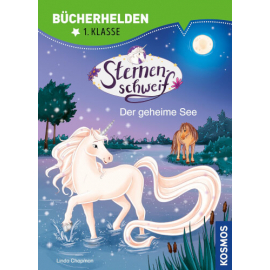 Bücherhelden Sternenschweif - Se